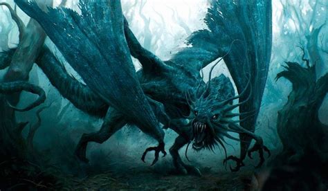 Dragon Shadow Dragon Fantasy Art Fantasy Creatures