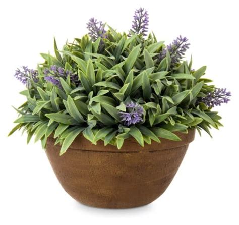 Nib New Myt Faux Purple Lavender Potted Plants In Round Terracotta