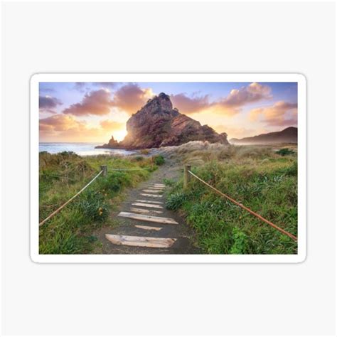 Path To Piha Sticker For Sale By Chrisgin Redbubble