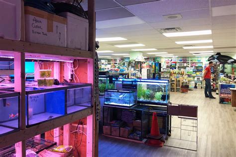 Torontos Most Famous Pet Store And Aquarium Just Reopened