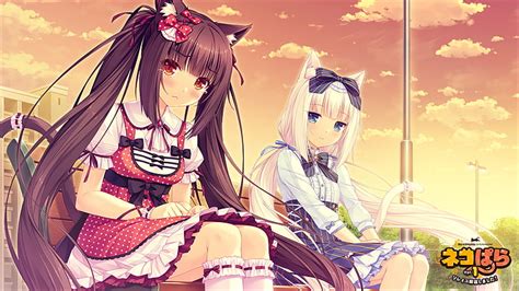 Online Crop Hd Wallpaper Nekopara Chocola Sayori Tears Sunset Sitting Visual Novel