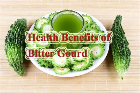 It favors hot and humid climates with plenty of sunshine and regular water access. Health Benefits of Bitter Gourd,Use of Karela for Health ...
