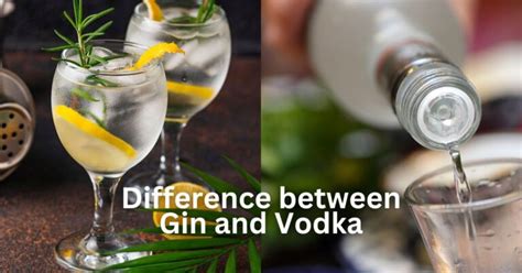 Difference Between Gin And Vodka 2 Min Read
