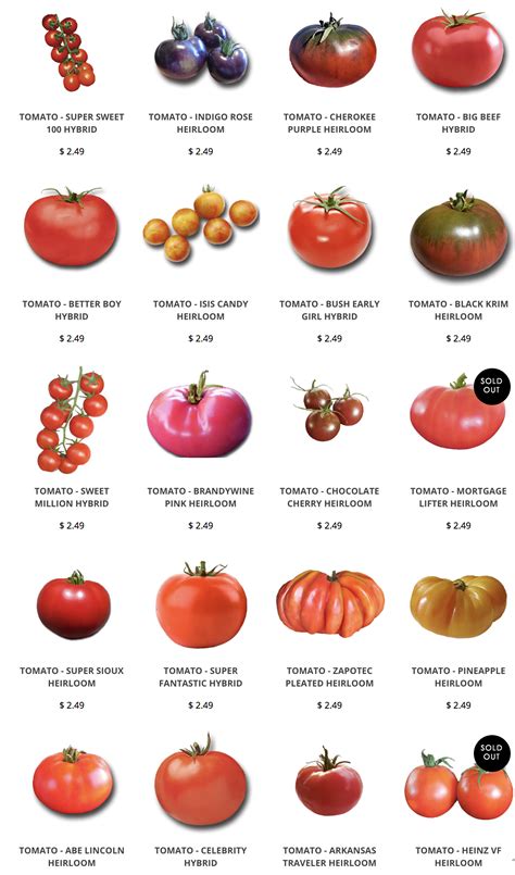 Types Of Tomatoes Vegetable