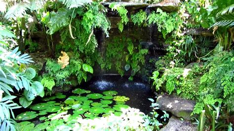 Hidden Waterfall Fairchild Tropical Botanic Garden