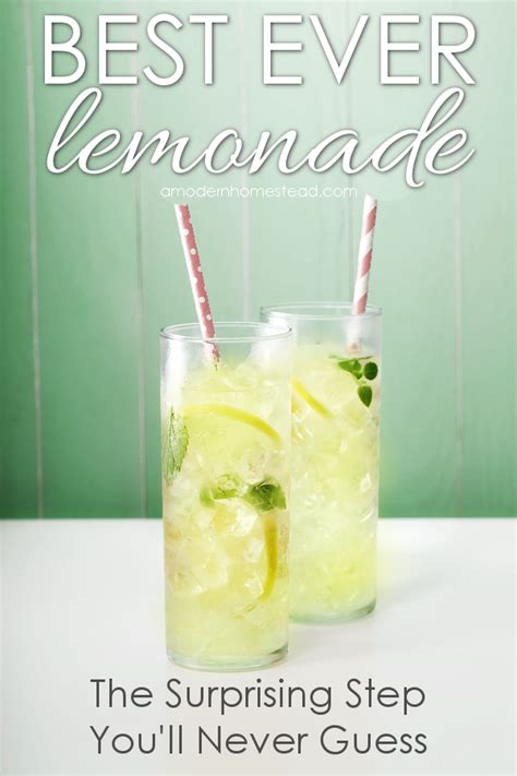 best ever homemade lemonade seriously the best darn lemonade i have ever had and it s got a