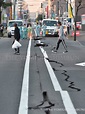 怵目驚心《北海道地震》日本讀賣新聞寫真特集：秀麗山川崩毀、道路嚴重損壞… | 宅宅新聞