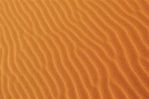 Free Images Nature Sand Abstract Wood Desert Dune Floor Ripple
