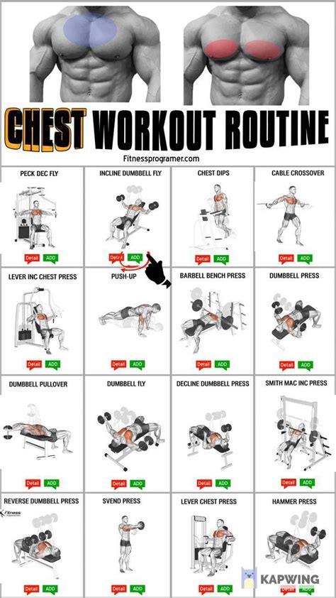 Chest Workout Routine Create A Free Workout Program Video Chest Workout Routine Shoulder