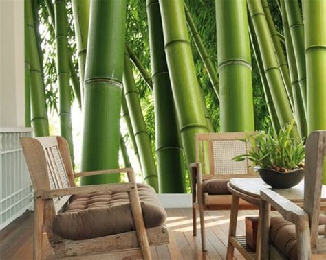 Free Download The Best Bamboo Wallpaper Murals Amazon Com Widgets