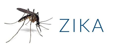 Department Of Health Confirms Second Case Of Imported Zika Virus