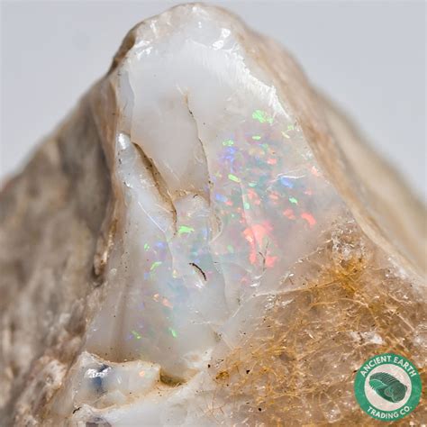179 In Opal Thunderegg Nodule Idaho By Location Minerals