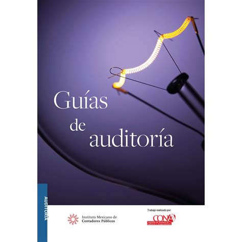 Guías De Auditoría Versión Profesional