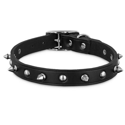 Bond And Co Black Leather Spike Dog Collar Petco