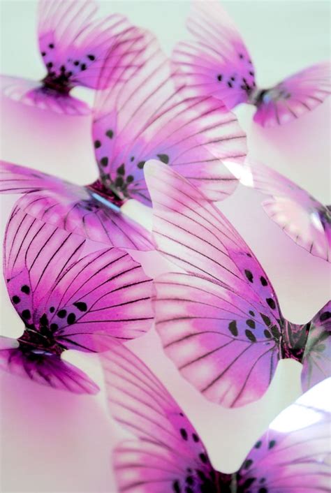 Pink Butterflies 3d Pink Transparent Butterfly 3d Adhesive Etsy