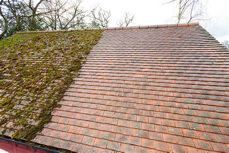 Just Fascias Now Offering Roof Cleaning And Moss Removal Services To