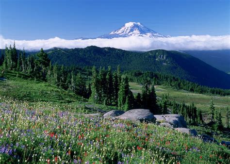 Visit Mount Rainier National Park, The US | Audley Travel