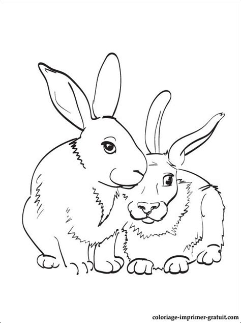 128 Dessins De Coloriage Lapin à Imprimer Sur Page 6