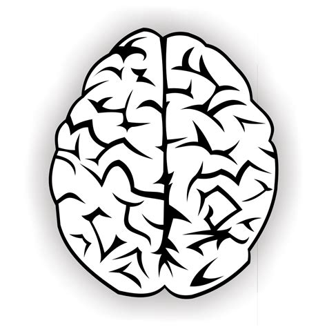 Brain Clipart Free 20 Free Cliparts Download Images On Clipground 2024