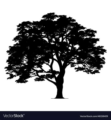 Oak Tree Silhouette Royalty Free Vector Image Vectorstock