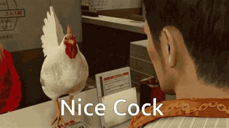Nice Cock Chicken Gif Nice Cock Chicken Nugget Descubrir Y