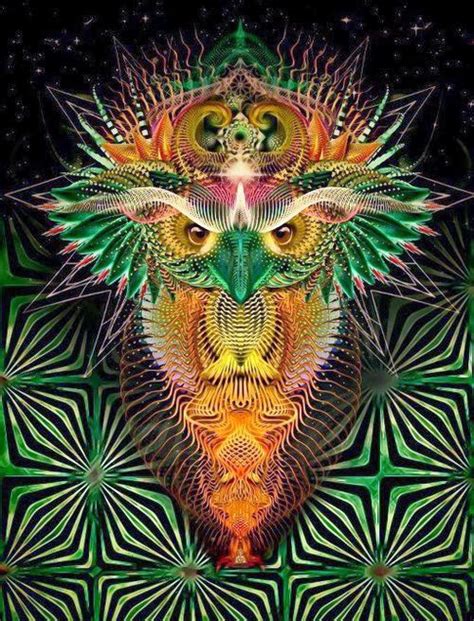 31 Psychedelic Trippy Owl Pictures