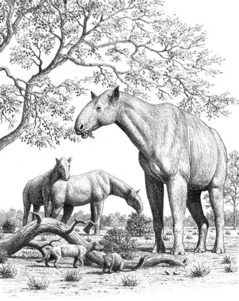 Chasing Sabretooths Prehistoric Animals Prehistoric Wildlife Megafauna