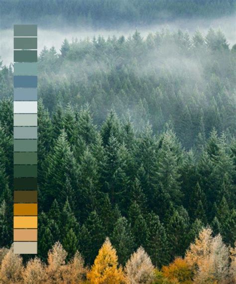 35 Best Nature Color Palette For Beautiful House Decoor Nature