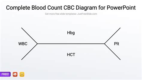Diagram For Cbc Blank Cbc Diagram Wiring Library Lab Vrogue Co