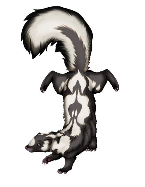 Spotted Skunk Taur By Fricken Stoat On Deviantart