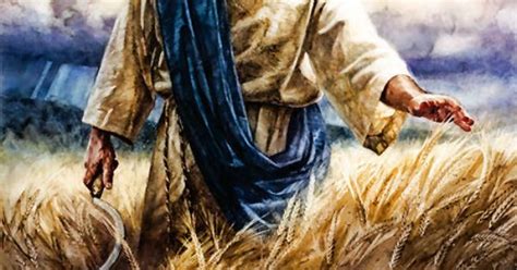 Harvest Prophetic Art Christian Art Pinterest Prophetic Art