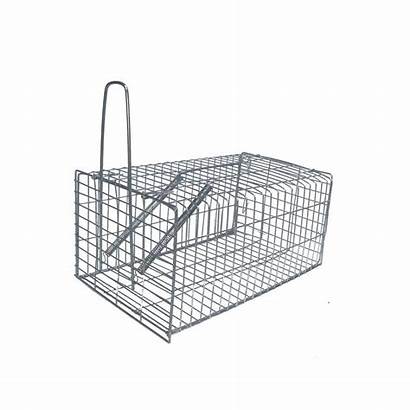 Cage Trap Mouse Animal Pack Drawing Grid