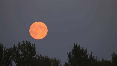 Night Full Moon Landscape Stock Footage Video 4402889 Shutterstock