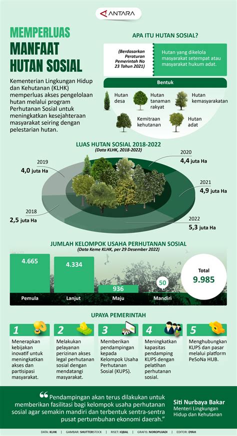 Memperluas Manfaat Hutan Sosial Infografik Antara News