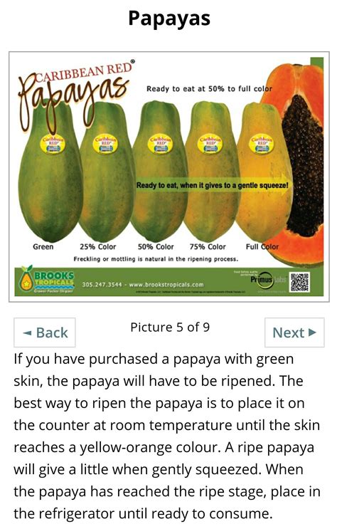 How To Eat Papaya Ripe Papaya 101 Artofit