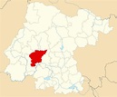 Archivo:Mexico Guanajuato Irapuato location map.svg - Wikipedia, la ...