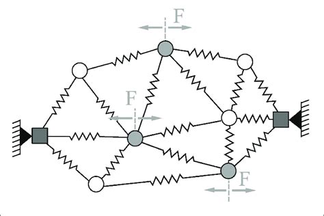 Schematic Example Of A Generic Mass Spring Network The Mass Points