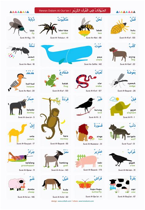 Jual Poster Hewan Dalam Al Quran 3 Bahasa Dengan Gambar Illustrasi Dan