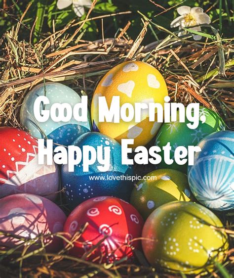 Colorful Easter Eggs Good Morning Happy Easter Quote Pictures Photos