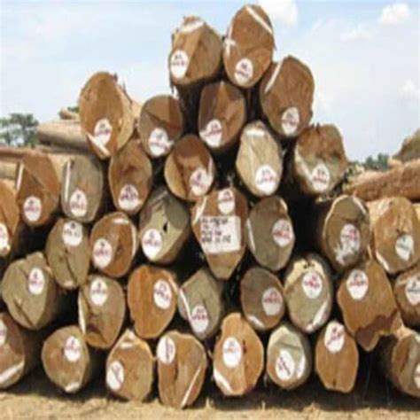 Teak Wood In Vellore Tamil Nadu Teak Wood Teak Price In Vellore