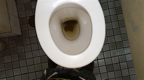 Toilet Poop Image 102232 Thisvid Tube
