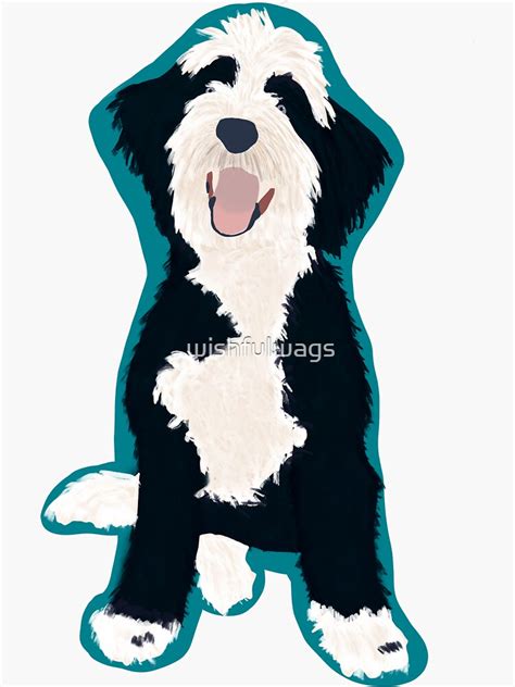 Teal Bernedoodle Sticker By Wishfulwags Redbubble