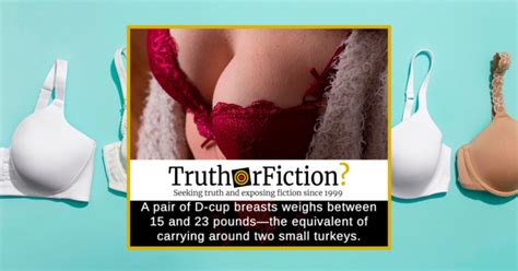 Does A Pair Of Dd Breasts Weigh Between And Pounds Truth Or Fiction