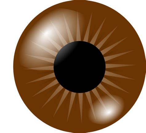 Brown Eye Clip Art At Vector Clip Art Online Royalty Free