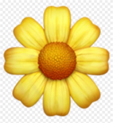 Iphone Emoji Flowers Daisy Iphone Flower Emoji Png Transparent Png