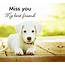 Miss You My Best Friend Puppy Free ECards Greeting Cards 