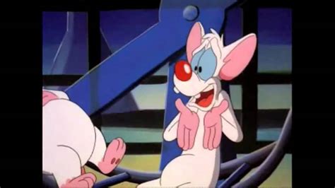 Pinky and the brain are two genetically engineered lab mice living at acme labs. Are You Pondering What I'm Pondering - YouTube