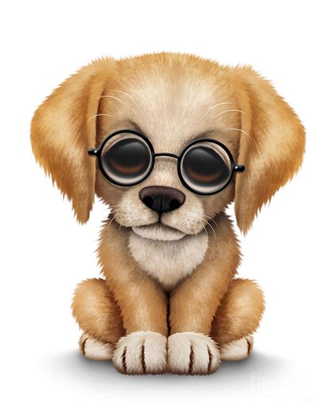 Cute Golden Retriever Puppy Dog Wearing Eye Glasses
