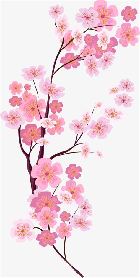 Vector Painted Pink Cherry Blossoms Vector Hand Painted Pink Cherry Blossoms Png And Vector