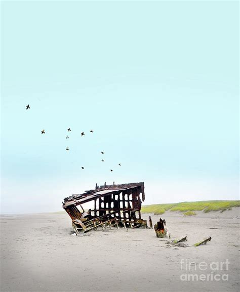 Shipwreck And Birds Photograph By Jill Battaglia